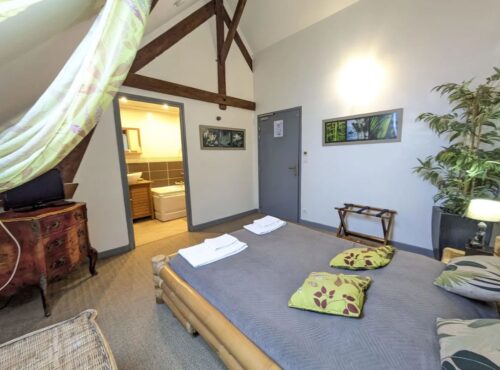 Zen-Zimmer mit Bett und Fernseher